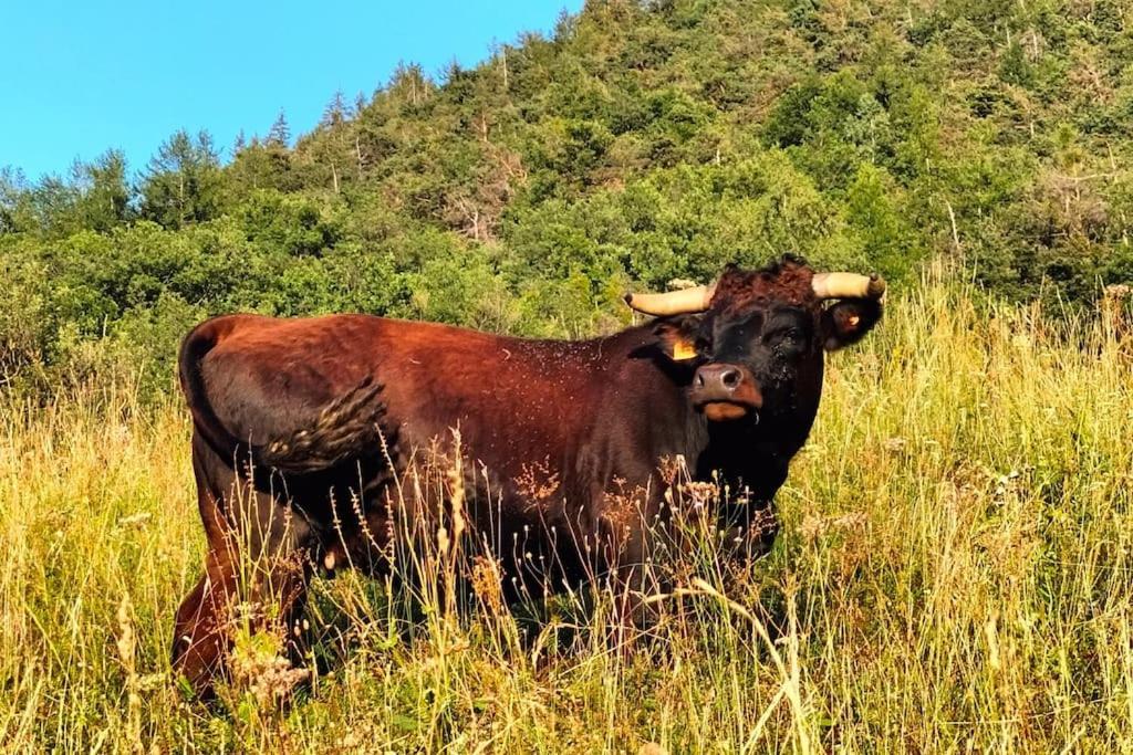 Appartamento Di Montagna Lo Grop Chambave 외부 사진